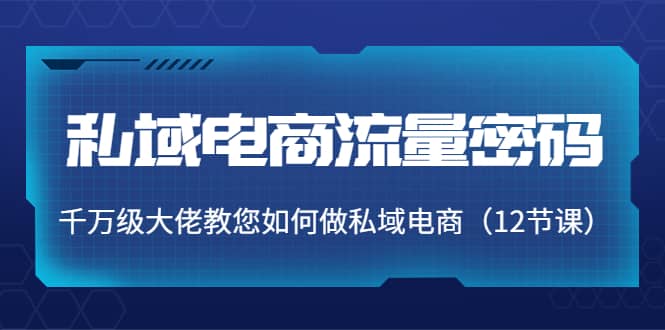 私域电商流量密码：千万级大佬教您如何做私域电商（12节课）网赚项目-副业赚钱-互联网创业-独家轻创IP星泽云创