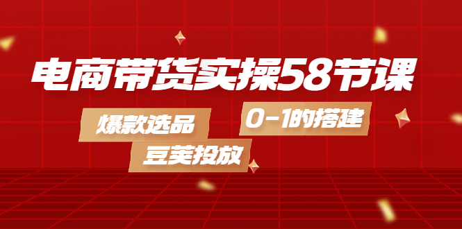 电商带货实操58节课，爆款选品，豆荚投放，0-1的搭建网赚项目-副业赚钱-互联网创业-独家轻创IP星泽云创