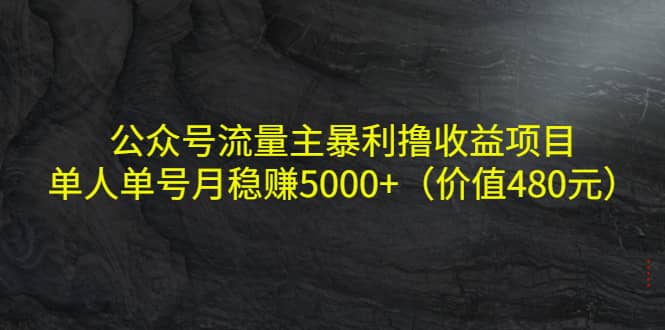 公众号流量主暴利撸收益项目，单人单号月稳赚5000+（价值480元）网赚项目-副业赚钱-互联网创业-独家轻创IP星泽云创