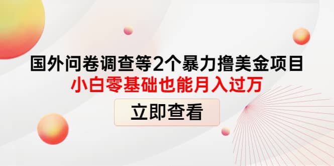 国外问卷调查等2个暴力撸美元项目，小白零基础也能月入过万网赚项目-副业赚钱-互联网创业-独家轻创IP星泽云创