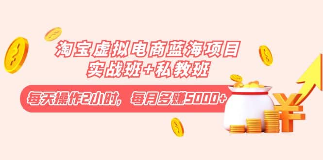 淘宝虚拟电商蓝海项目实战班+私教班网赚项目-副业赚钱-互联网创业-独家轻创IP星泽云创