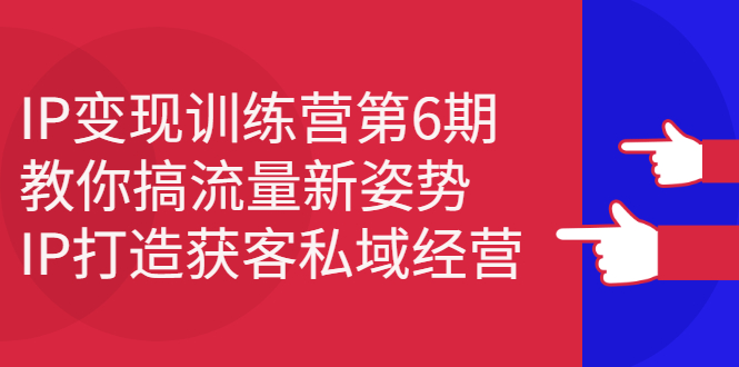 IP变现训练营第6期：教你搞流量新姿势，IP打造获客私域经营网赚项目-副业赚钱-互联网创业-独家轻创IP星泽云创