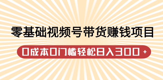 零基础视频号带货赚钱项目，0成本0门槛轻松日入300+【视频教程】网赚项目-副业赚钱-互联网创业-独家轻创IP星泽云创