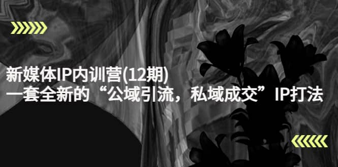新媒体IP内训营(12期)，一套全新的“公域引流，私域成交”IP打法，直接带走网赚项目-副业赚钱-互联网创业-独家轻创IP星泽云创