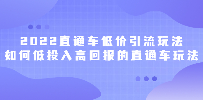 2022直通车低价引流玩法，教大家如何低投入高回报的直通车玩法网赚项目-副业赚钱-互联网创业-独家轻创IP星泽云创