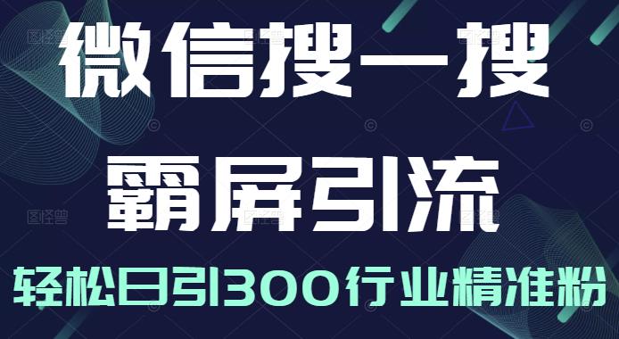 微信搜一搜霸屏引流课，打造被动精准引流系统，轻松日引300行业精准粉【无水印】网赚项目-副业赚钱-互联网创业-独家轻创IP星泽云创