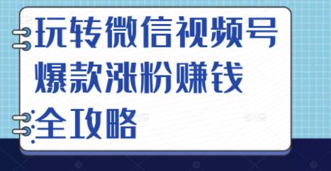 玩转微信视频号爆款涨粉赚钱全攻略，让你快速抓住流量风口，收获红利财富网赚项目-副业赚钱-互联网创业-独家轻创IP星泽云创