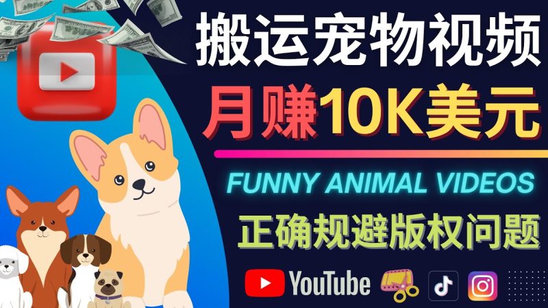 搬运TIKTOK视频到YouTube，并进行二次创作，月赚1万美元以上网赚项目-副业赚钱-互联网创业-独家轻创IP星泽云创