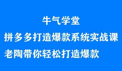 牛气学堂拼多多打造爆款系统实战课，老陶带你轻松打造爆款网赚项目-副业赚钱-互联网创业-独家轻创IP星泽云创