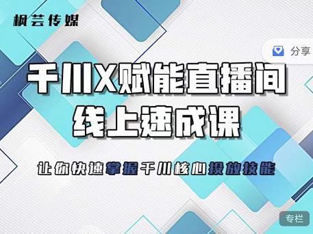 枫芸传媒-线上千川提升课，提升千川认知，提升千川投放效果网赚项目-副业赚钱-互联网创业-独家轻创IP星泽云创