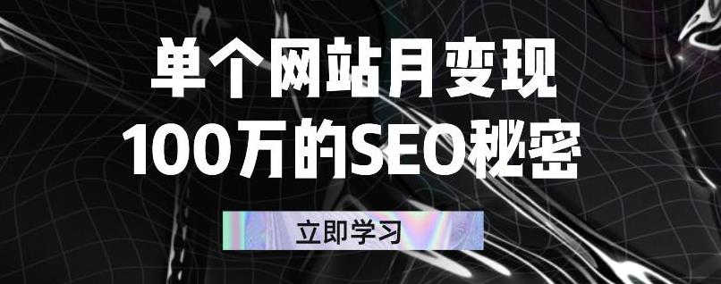 单个网站月变现100万的SEO秘密，百分百做出赚钱站点网赚项目-副业赚钱-互联网创业-独家轻创IP星泽云创