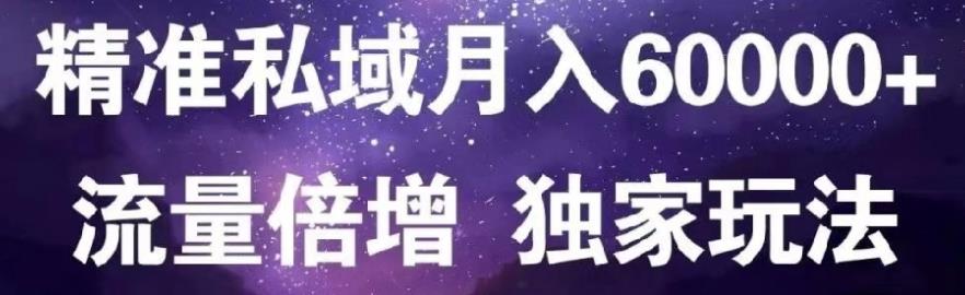 原力网赚精准私域月入60000+,流量倍增独家玩法网赚项目-副业赚钱-互联网创业-独家轻创IP星泽云创