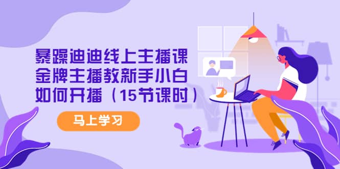 暴躁迪迪线上主播课，金牌主播教新手小白如何开播（15节课时）网赚项目-副业赚钱-互联网创业-独家轻创IP星泽云创