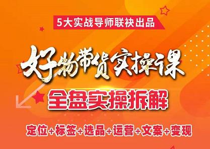 抖音好物带货实操课，全盘拆解抖音好物带货号全套流程打法网赚项目-副业赚钱-互联网创业-独家轻创IP星泽云创