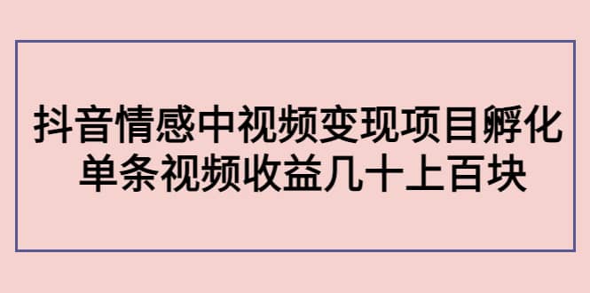 抖音情感中视频变现项目孵化网赚项目-副业赚钱-互联网创业-独家轻创IP星泽云创