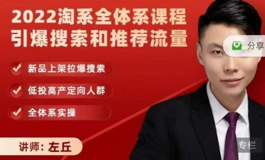 2022淘系全体系课程引爆搜索和推荐流量，新品上架拉爆搜索网赚项目-副业赚钱-互联网创业-独家轻创IP星泽云创