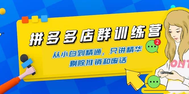 拼多多店群训练营：从小白到精通，只讲精华，剔除推销和废话网赚项目-副业赚钱-互联网创业-独家轻创IP星泽云创