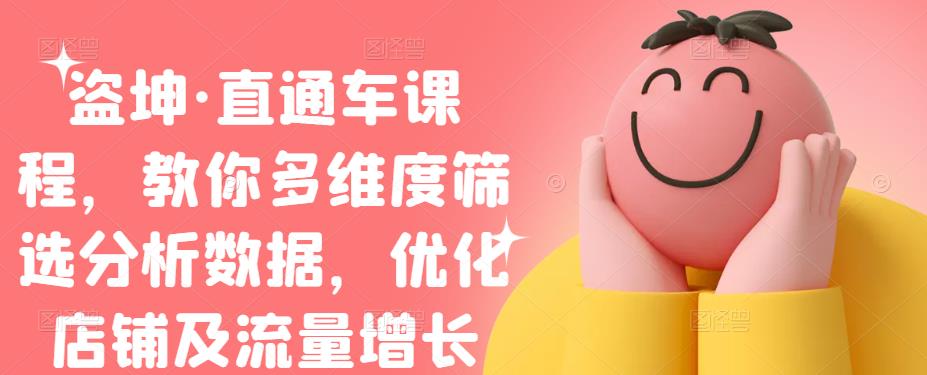 盗坤·直通车课程，教你多维度筛选分析数据，优化店铺及流量增长网赚项目-副业赚钱-互联网创业-独家轻创IP星泽云创