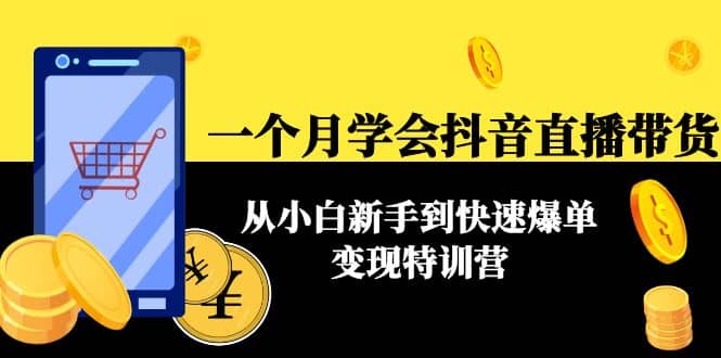 一个月学会抖音直播带货：从小白新手到快速爆单变现特训营(63节课)网赚项目-副业赚钱-互联网创业-独家轻创IP星泽云创