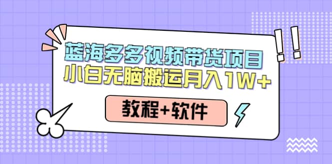 人人都能操作的蓝海多多视频带货项目 小白无脑搬运（教程+软件）网赚项目-副业赚钱-互联网创业-独家轻创IP星泽云创
