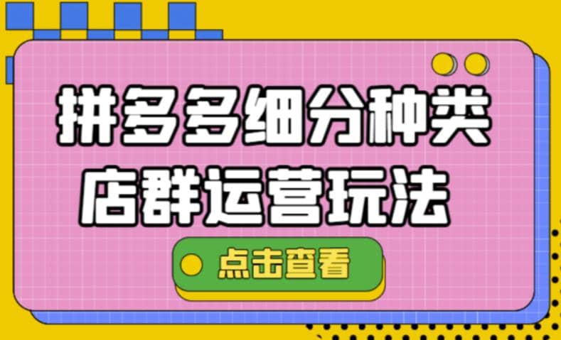 拼多多细分种类店群运营玩法3.0，11月最新玩法，小白也可以操作网赚项目-副业赚钱-互联网创业-独家轻创IP星泽云创