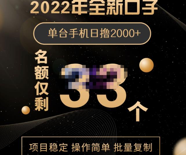 2022年全新口子，手机批量搬砖玩法，一部手机日撸2000+网赚项目-副业赚钱-互联网创业-独家轻创IP星泽云创