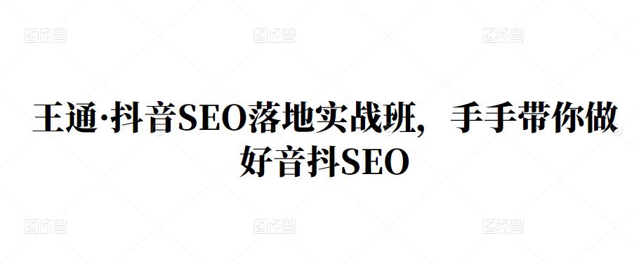 王通·抖音SEO落地实战班，手‬手带你做好音抖‬‬SEO网赚项目-副业赚钱-互联网创业-独家轻创IP星泽云创