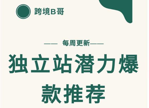 【跨境B哥】独立站潜力爆款选品推荐，测款出单率高达百分之80（每周更新）网赚项目-副业赚钱-互联网创业-独家轻创IP星泽云创