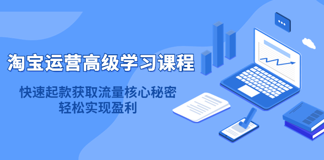 淘宝运营高级学习课程：快速获取流量核心秘密，轻松实现盈利！网赚项目-副业赚钱-互联网创业-独家轻创IP星泽云创