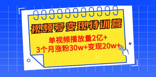 20天视频号变现特训营：单视频播放量2亿+网赚项目-副业赚钱-互联网创业-独家轻创IP星泽云创