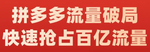 阿杰·拼多多流量破局:如何打黑标，爆款的思路，拼多多流量框架，快速抢占百亿流量网赚项目-副业赚钱-互联网创业-独家轻创IP星泽云创