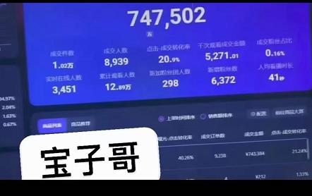 宝子哥无人直播，半无人直播，Obs+伴侣玩法，快速打标签+养鱼网赚项目-副业赚钱-互联网创业-独家轻创IP星泽云创