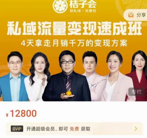 桔子会·私域流量变现速成班，4天拿走月销千万的变现方案 价值12800元网赚项目-副业赚钱-互联网创业-独家轻创IP星泽云创