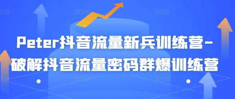 Peter抖音流量新兵训练营-破解抖音流量密码群爆训练营（新兵）网赚项目-副业赚钱-互联网创业-独家轻创IP星泽云创