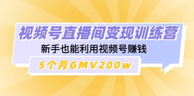 视频号直播间变现训练营网赚项目-副业赚钱-互联网创业-独家轻创IP星泽云创