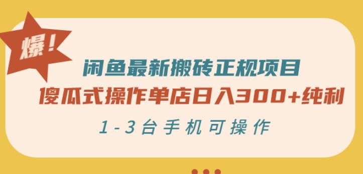 闲鱼最新搬砖正规项目：傻瓜式操作单店日入300+纯利，1-3台手机可操作网赚项目-副业赚钱-互联网创业-独家轻创IP星泽云创
