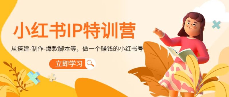 小红书IP特训营网赚项目-副业赚钱-互联网创业-独家轻创IP星泽云创