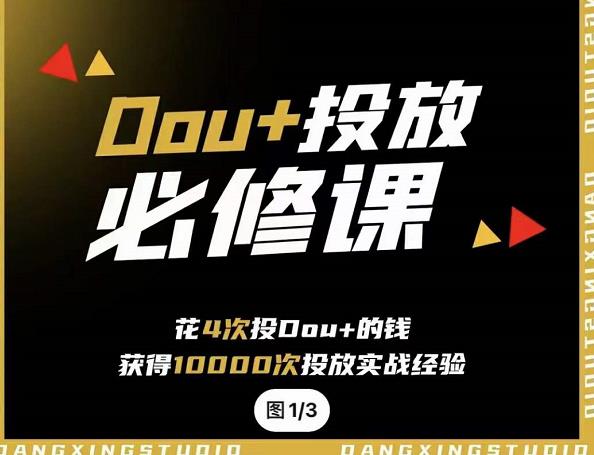 代同学DOU+投放训练营，用付费流量撬动大额自然流量，过得超额变现转化网赚项目-副业赚钱-互联网创业-独家轻创IP星泽云创