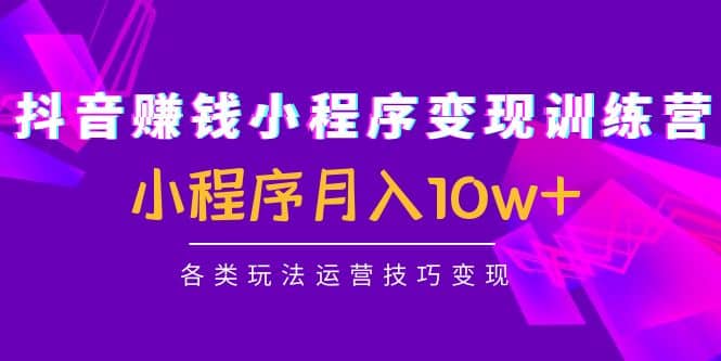 抖音小程序变现训练营：小程序各类玩法运营技巧变现网赚项目-副业赚钱-互联网创业-独家轻创IP星泽云创