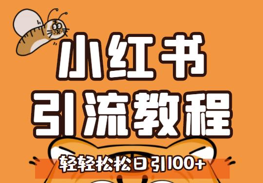 小红书运营引流全系列课程，每天引流100精准粉网赚项目-副业赚钱-互联网创业-独家轻创IP星泽云创