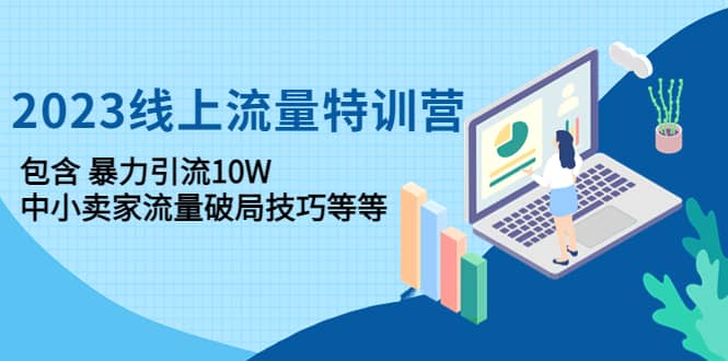 2023线上流量特训营：中小卖家流量破局技巧等等网赚项目-副业赚钱-互联网创业-独家轻创IP星泽云创