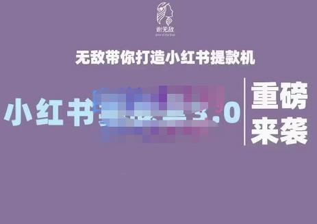 谢无敌·小红书实战营3.0，无敌带你打造小红书提款机 价值7999元网赚项目-副业赚钱-互联网创业-独家轻创IP星泽云创