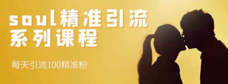 soul精准引流系列课程，每天引流100精准粉网赚项目-副业赚钱-互联网创业-独家轻创IP星泽云创