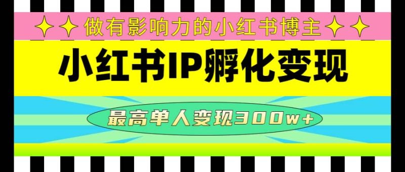 某收费培训-小红书IP孵化变现：做有影响力的小红书博主网赚项目-副业赚钱-互联网创业-独家轻创IP星泽云创