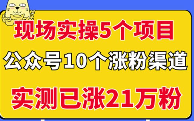 现场实操5个公众号项目，10个涨粉渠道，实测已涨21万粉！网赚项目-副业赚钱-互联网创业-独家轻创IP星泽云创