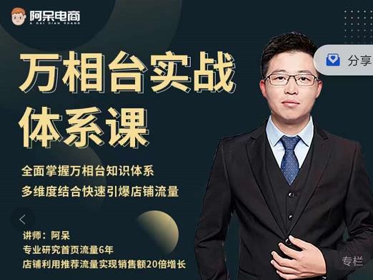 阿呆-万相台实战体系课，帮您全面掌握万相台知识体系网赚项目-副业赚钱-互联网创业-独家轻创IP星泽云创