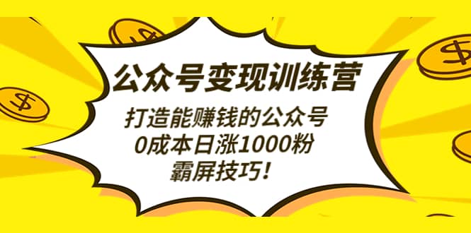 公众号变现训练营（第3期）网赚项目-副业赚钱-互联网创业-独家轻创IP星泽云创