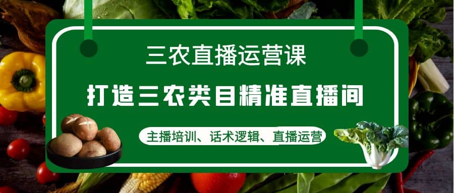 三农直播运营课：打造三农类目精准直播间，主播培训、话术逻辑、直播运营网赚项目-副业赚钱-互联网创业-独家轻创IP星泽云创
