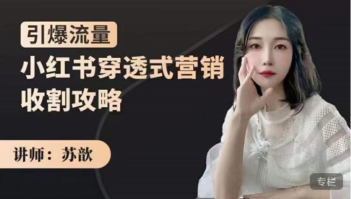 小红书穿透式营销收割攻略，引爆流量，助你玩转小红书网赚项目-副业赚钱-互联网创业-独家轻创IP星泽云创