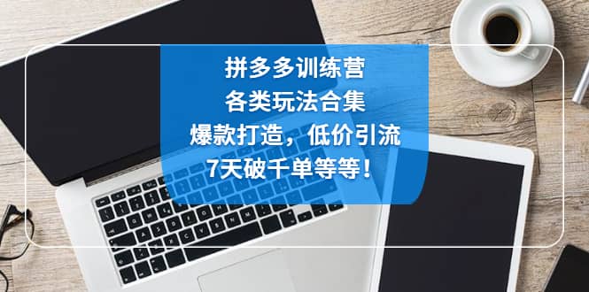 拼多多训练营：各玩法合集，爆款打造，低价引流，7天破千单等等网赚项目-副业赚钱-互联网创业-独家轻创IP星泽云创